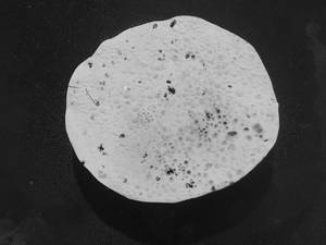 Masala Papad