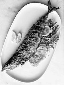 Big Mackerel