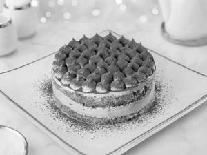 Premium Tiramisu Cake