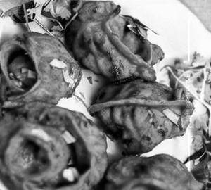Chicken Tandoori Momos