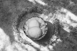 Roshogolla