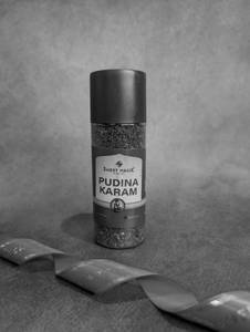 Pudina Karam 100g