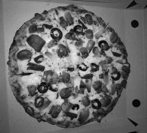 Mushroom magic pizza