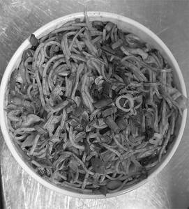 Veg Schezwan Noodles