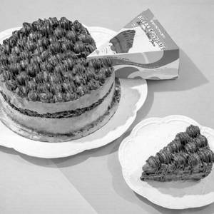 Belgian Chocolate Ice Cream Cake Slice
