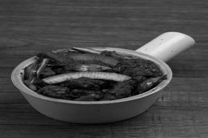Syrian Erachi Fry