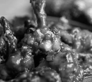 Chicken Lollypop Masala Dry