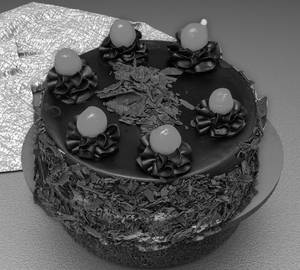 Chocolate Forest