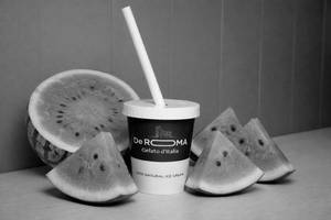 Watermelon Milkshake