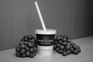 Wild Blueberry Milkshake