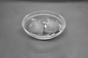 Gulab Jamun [2 pieces]