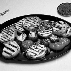 Veg Grilled