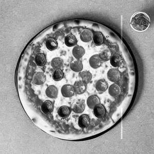 Margherita [Regular]