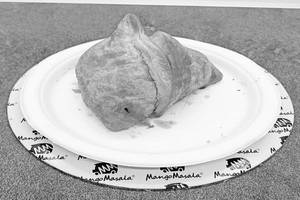 Noodle Samosa