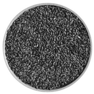 Flax Seed (100 Gm)