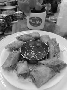 Veg Spring Roll