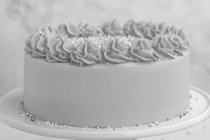 Vanilla Cake [500 g, Serves 5]