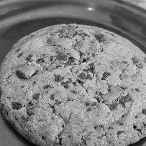 Double Chocolate Cookie (Dark/Milk) [bc]