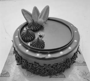 Dutch Choco [Small]