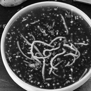 Vegmanchow soup