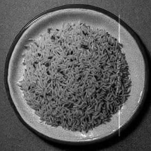 Pudina Rice