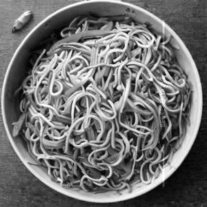 Veg Noodles