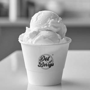 Natural Vanilla Ice Cream