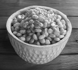 Sweet Corn
