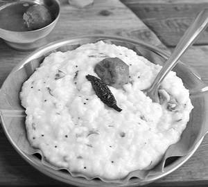 Curd Rice