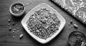 Chatpata Mix