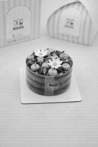 Chocolate Truffle Bento Cake