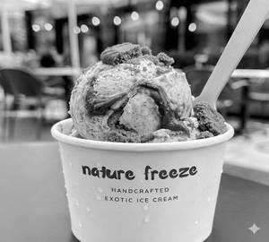 2 Pieces Vanilla Cinnamon With Biscoff Ice Cream [100 Ml]