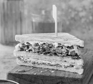 Veg Sandwich