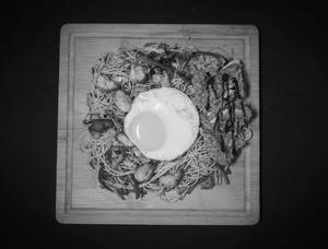 Special Chicken Noodles