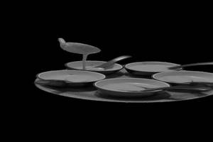 Family Soup Bowl