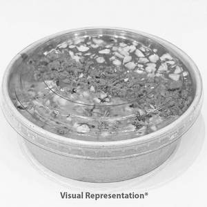 Sweet Koshari Laban(1bowl)