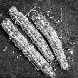 Crispy Corn
