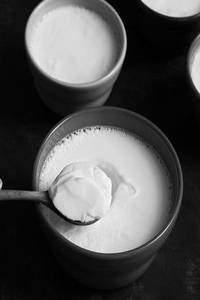 Plain Curd