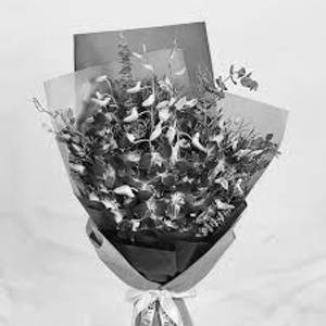 Orchid bunch [10 sticks]