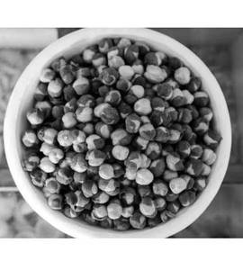 Roasted black channa