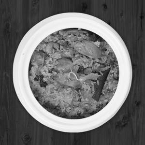 Ambur Kozhi Biryani