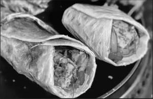 Paneer wrap