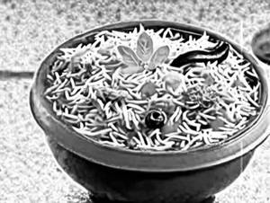 Veg biryani