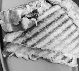 Fried chicken masala sandwich