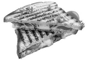 Cheese Sandwich