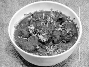 Mutton Khema Fry