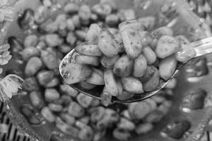 Sweet Corn