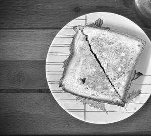 Veg Paneer Cheese Grilled Sandwich