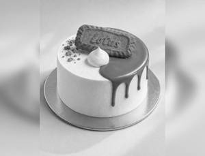 White Chocolate Biscoff Bento Cake