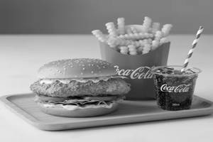 Chicken Burger Combo